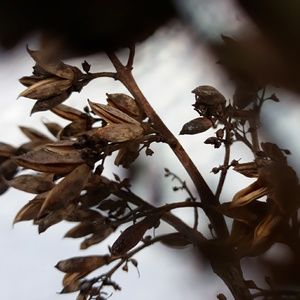 Meet your Posher, Avery